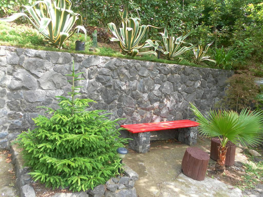 Holiday House Green Cape Batumi Hotel ชูวาเนคอนต์สกี ภายนอก รูปภาพ