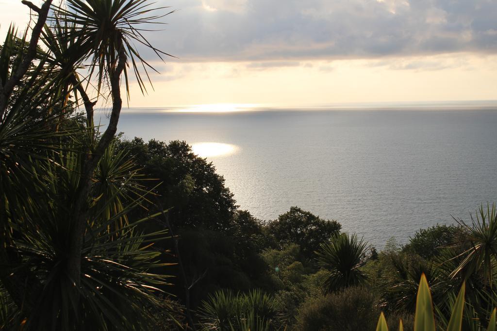 Holiday House Green Cape Batumi Hotel ชูวาเนคอนต์สกี ภายนอก รูปภาพ