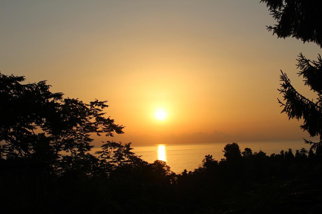 Holiday House Green Cape Batumi Hotel ชูวาเนคอนต์สกี ภายนอก รูปภาพ