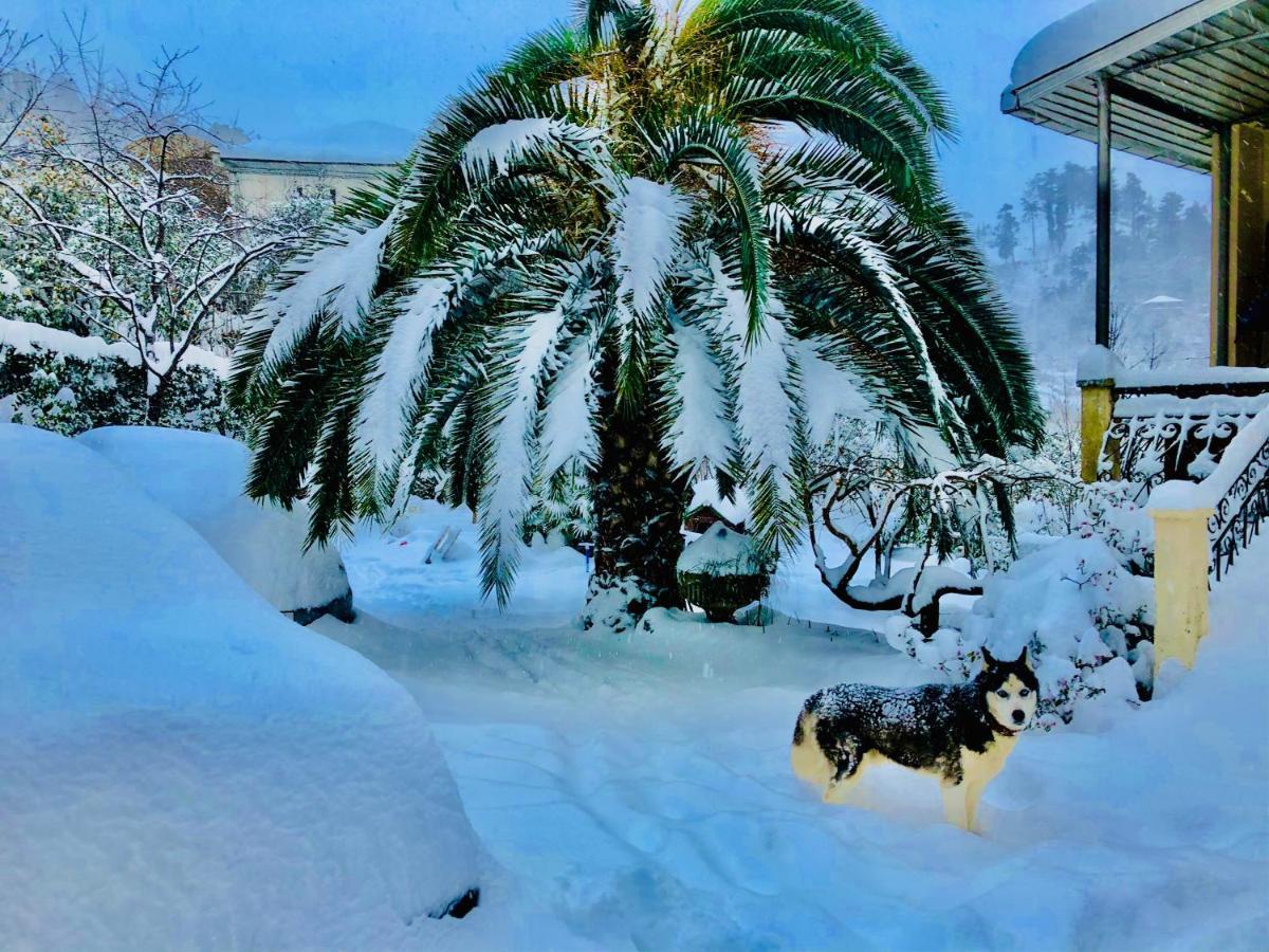 Holiday House Green Cape Batumi Hotel ชูวาเนคอนต์สกี ภายนอก รูปภาพ